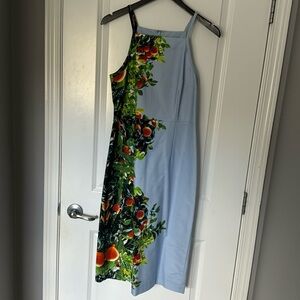 NWT whimsical sky blue dress with orange tree design.